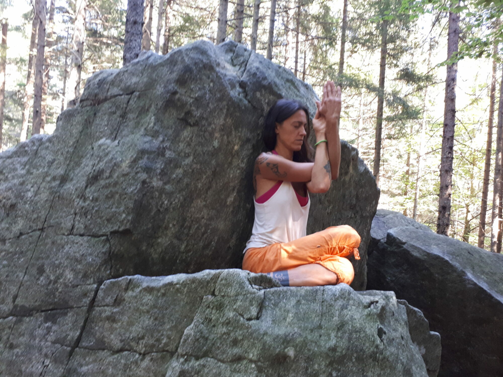 Gomukhasana climb foppiano