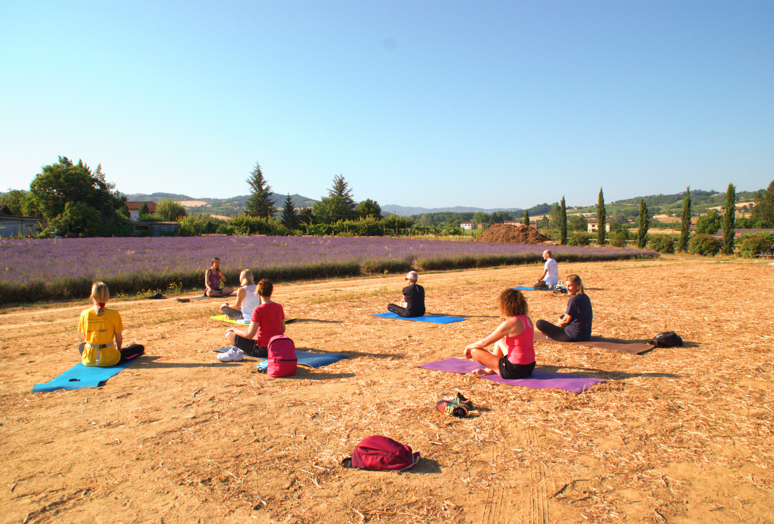 lavanda8